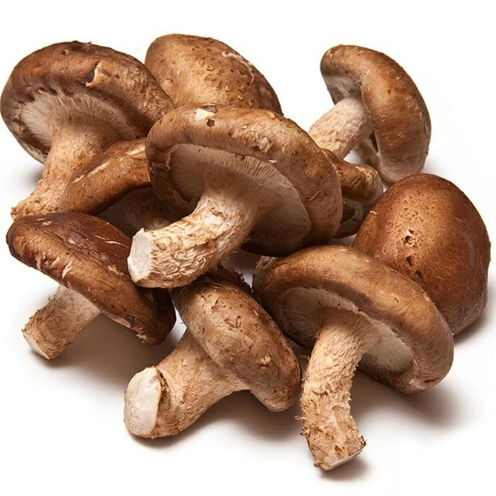 shiitake