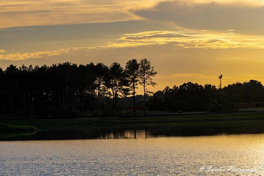 "The image depicts a serene landscape during sunset. In the foreground, there's a calm body of water reflecting the golden hues of the sky. The background showcases a dense forest with tall trees silhouetted against the warm colors of the sunset, adding a tranquil and picturesque atmosphere. To the right, a tower is visible. The sky is filled with soft, golden clouds, enhancing the peaceful ambiance of the scene. The text "© Swede's Photographs" is present in the bottom right corner, indicating the photo's attribution." - Copilot