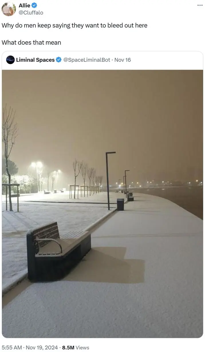 twitter caption "Why do men keep saying they want to bleed out here what does that mean" over a picture of a desert urban area at night covered in fresh snow