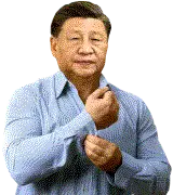 xi fisticuffs