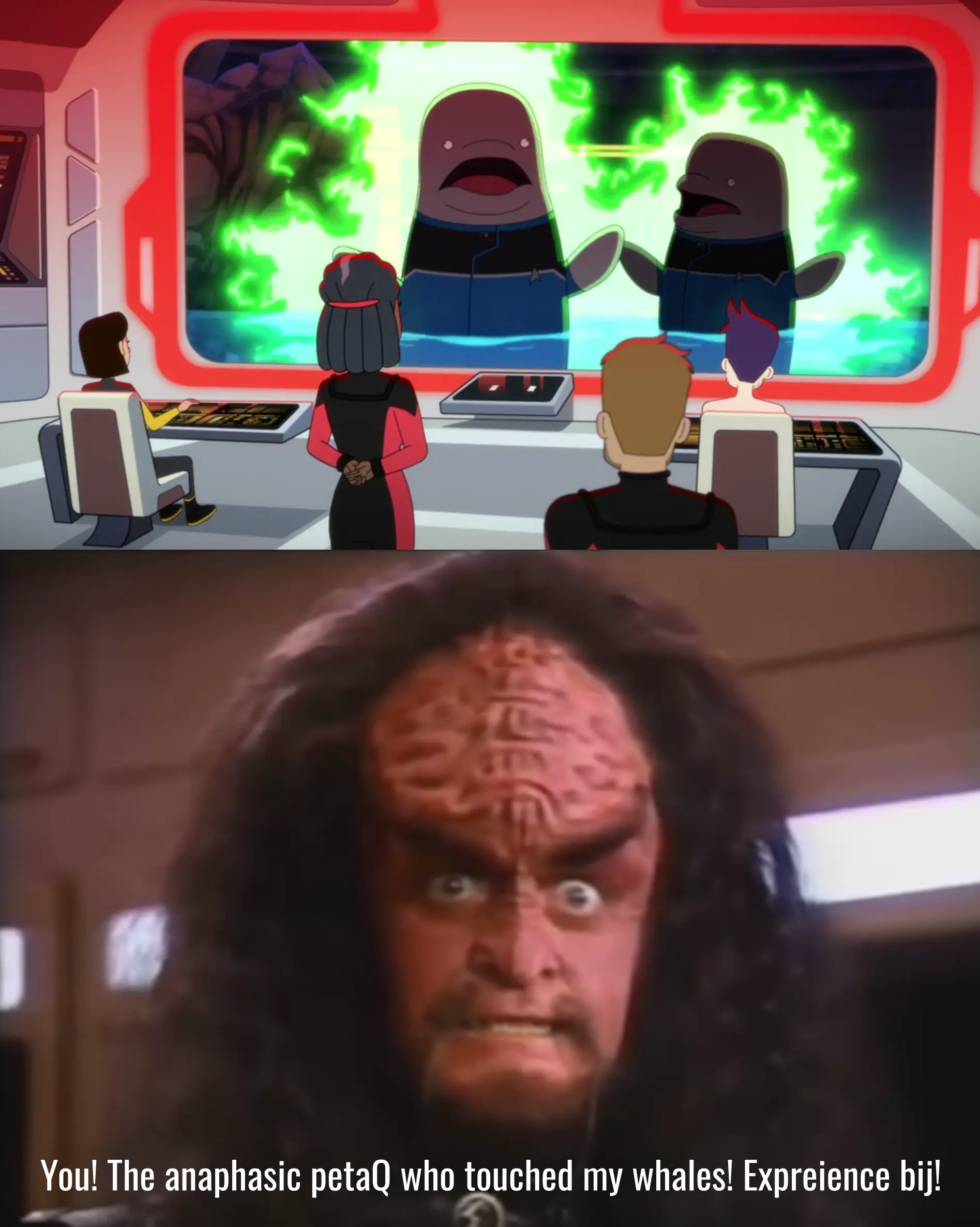 Matt and Kimolu scream in terror. As a result, a Klingon tells the anaphasic presence to experience bij.