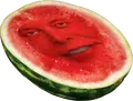 melon-musk