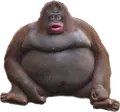 le-monke