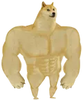 swole-doge