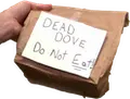 dead-dove-1