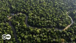 Amazon deforestation rises for the first time in 15 months – DW – 08/08/2024