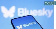 Bluesky boom worries Chinese media