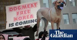 South Korea passes bill banning production and sale of dog meat