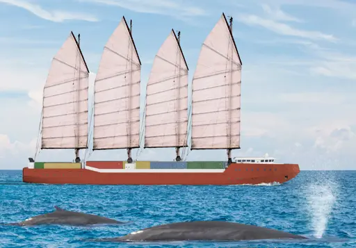 The image shows a sort of strange container ship with junk-rigged sails on masts offset from the centerline in a sort of zigzag pattern. Blue whales surface and spout in the foreground.