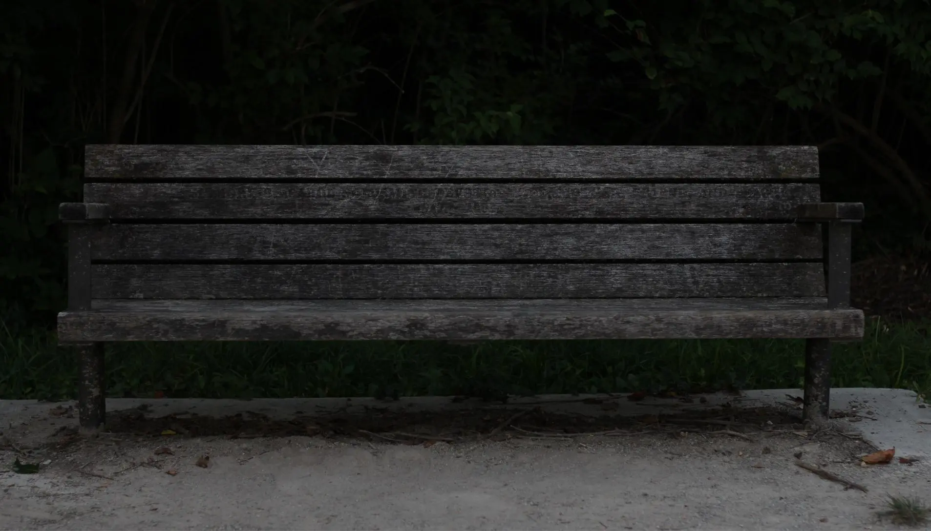 Dark photo of a long gray bench. Dark green plants in the background