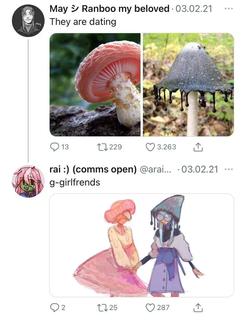 twitter thread, first tweet says "They are dating" with two pictures, one of them is a pink mushroom, the other is a black mushroom. someone replied with art of personifications of these mushrooms holding hands, the text of that tweet being "g-girlfriends".