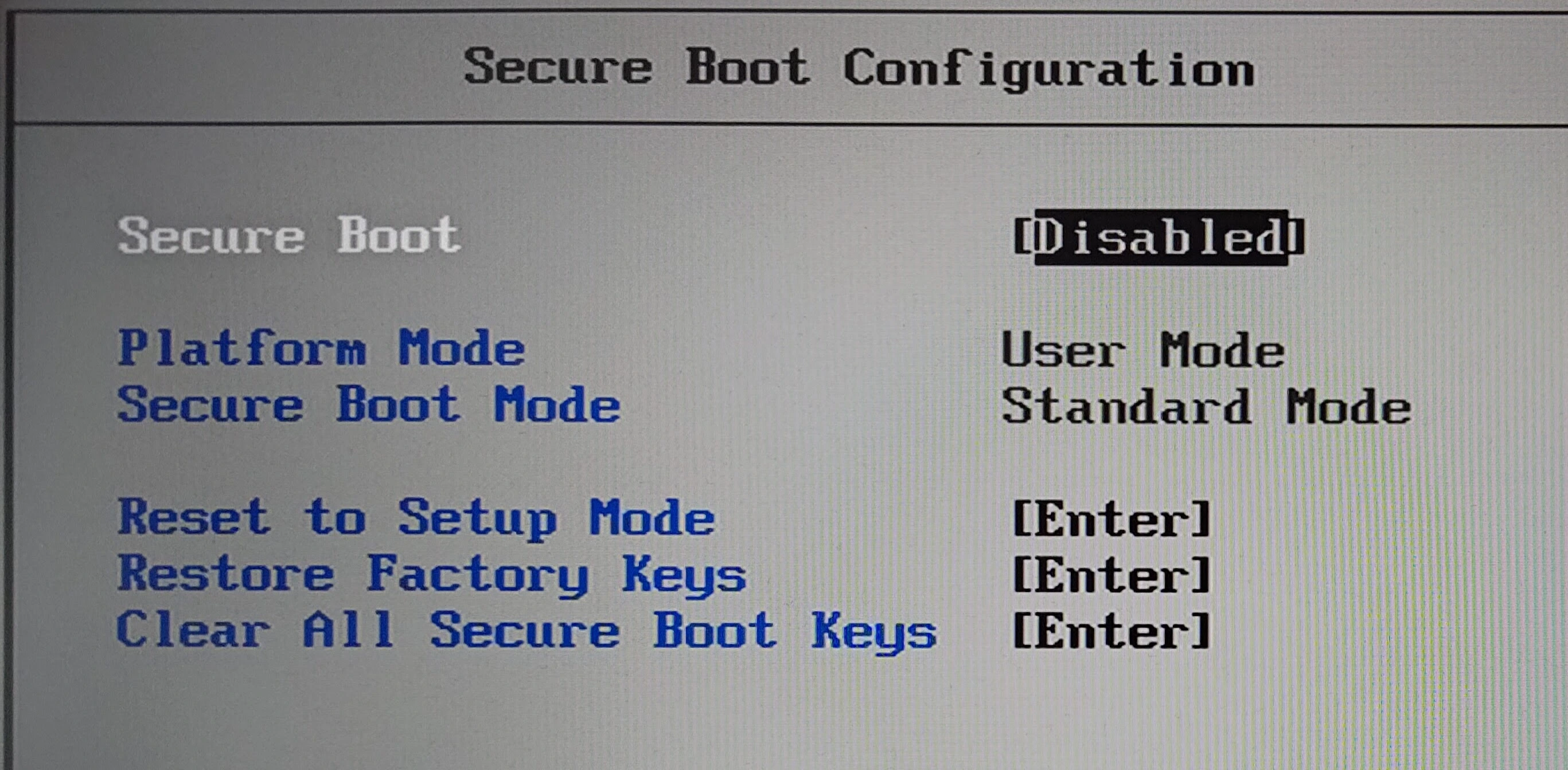 Secure Boot Configuration in the Lenovo Thinkpad T480s BIOS