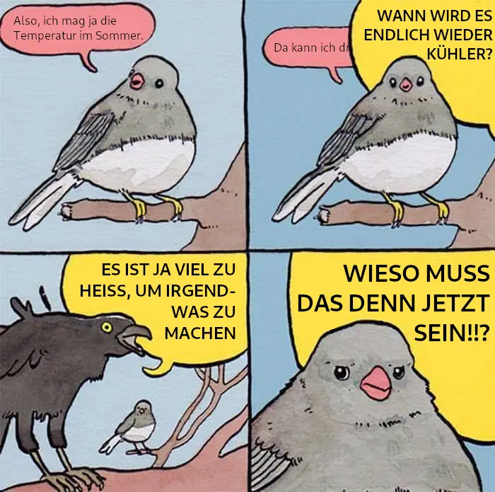 Meme Format eines kleinen Vogels, der von einem Großen Vogel übertönt wird. Kleiner Vogel: "Also, ich mag ja die Temperaturen im Sommer. Ich kann dr" Großer Vogel: "WANN WIRD ES ENDLICH WIEDER KÜHLER? ES IST JA VIEL ZU HEIß, UM IRGENDWAS ZU MACHEN! WIESO MUSS DAS DENN JETZT SEIN!?"