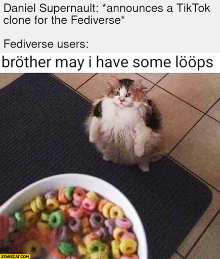 Image macro, based on a digital photograph of a fluffy and very chubby calico cat sitting on the floor on its hindquarters and looking upward at the bowl of Fruit Loops in the bottom left corner of the image. At the top of the image, there is a very light grey space with a two-part caption. It starts with: “Daniel Supernault: *announces a TikTok clone for the Fediverse.” This is followed by a blank line and, “Fediverse users:”. Between the grey space and the image, there is a narrower white space with another caption that has been part of the image for longer than the grey space. The caption speaks for the cat, “bröther may i have some lööps”, with the “o”s being umlauts.