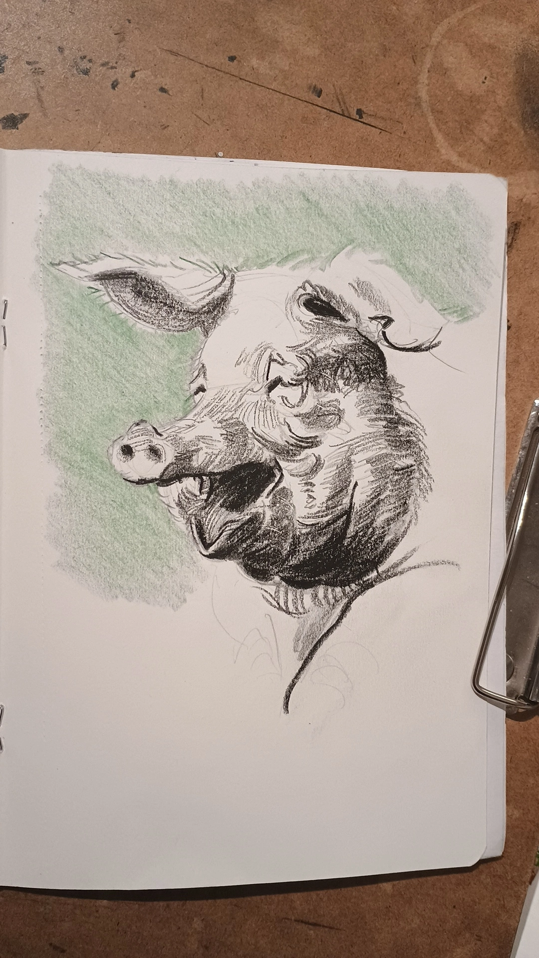 A cheerful pig drawn in graphite and colored pencil