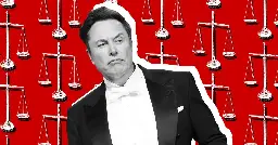 Elon Musk sued for fraud over his $1 million giveaway to swing state voters