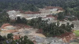 Deforestation in Colombia fell to historic lows in 2023, environment minister says