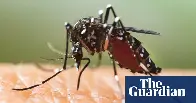 Mosquito-borne diseases spreading in Europe due to climate crisis, says expert