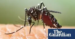 Mosquito-borne diseases spreading in Europe due to climate crisis, says expert