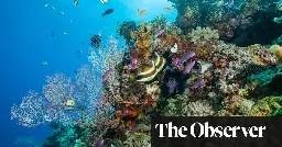 Race is on to produce a super-coral to survive world’s warming seas