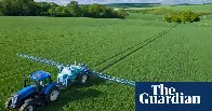 UK | Revealed: Far higher pesticide residues allowed on food since Brexit