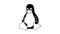 Linux kernel 6.11 is officially out now