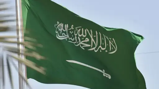 Saudi executes more than 100 foreigners in 2024: AFP tally