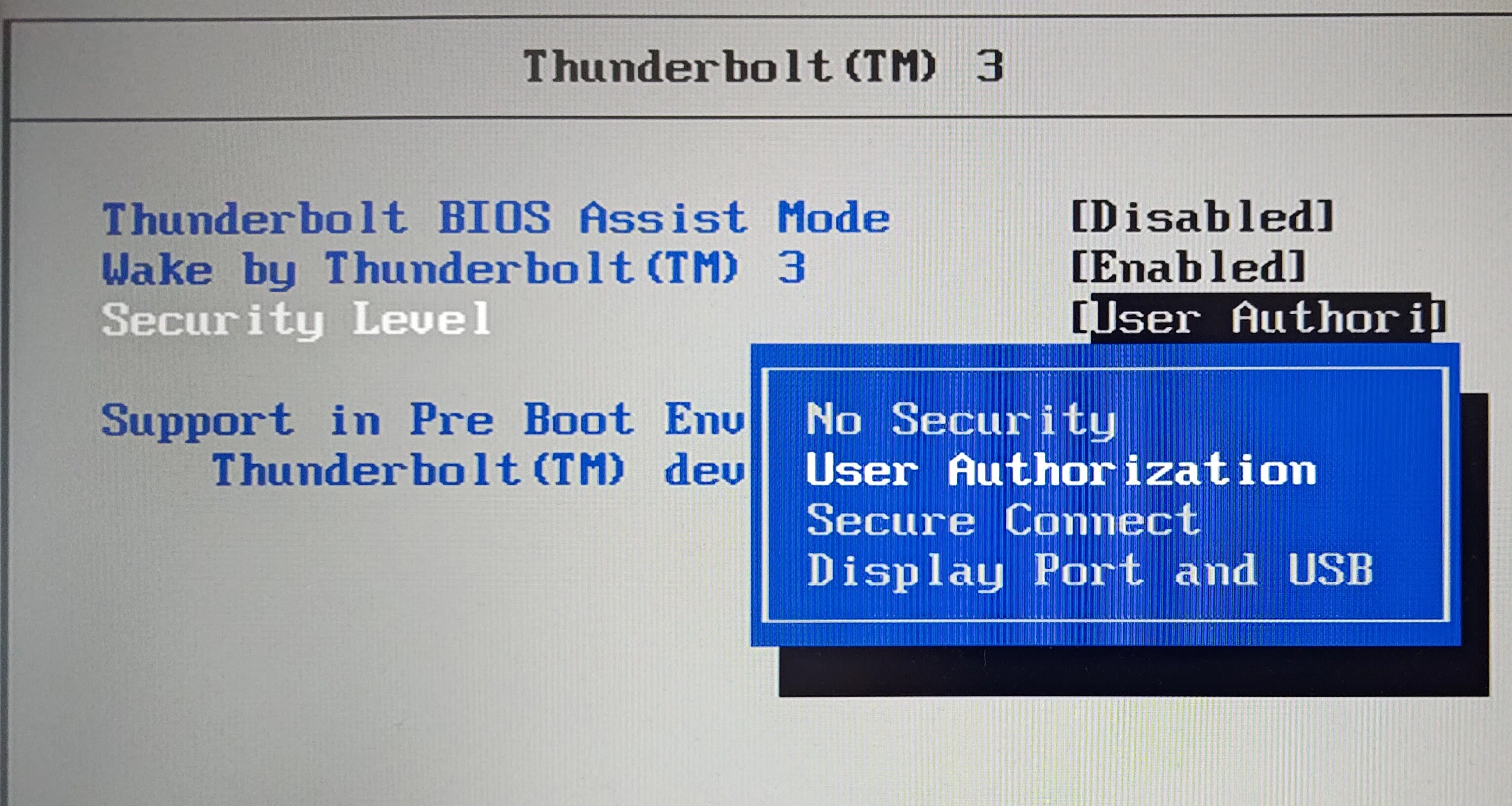 Thunderbolt 3 settings in the Lenovo Thinkpad T480s BIOS
