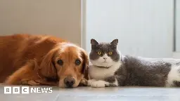 French couple who kept 159 cats banned from keeping pets