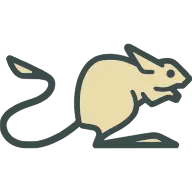 Jerboa app logo