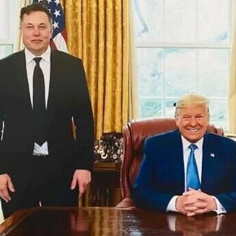 Elon Musk and fellow right-winger Donald Trump