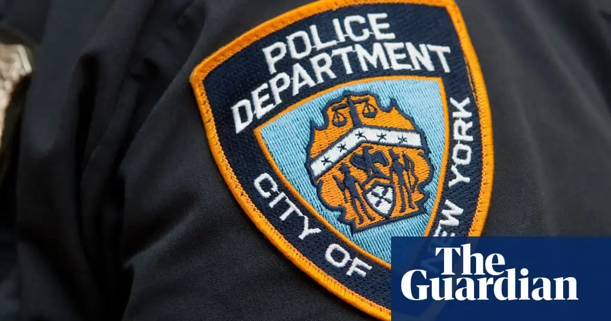 New York police used stun gun on migrant holding toddler, video shows