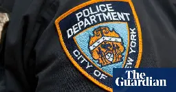 New York police used stun gun on migrant holding toddler, video shows