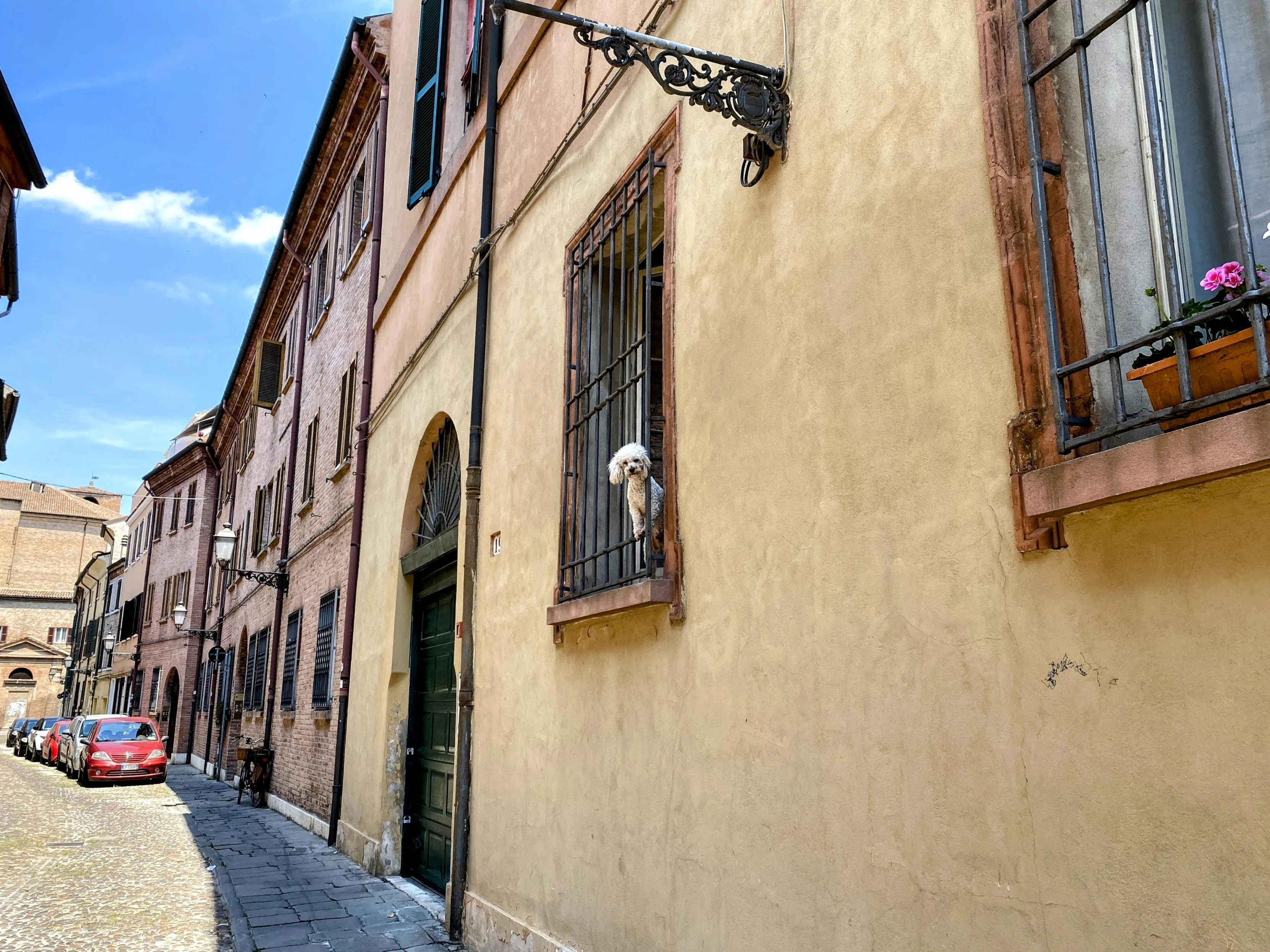 A quaint, narrow cobblestone street lined with traditional European-style buildings. One building has a warm yellow facade, and a dog is poking its head out from a wrought-iron window balcony, looking down the street. There is a row of parked cars on the side of the street, and a single red car stands out among them. A vintage-looking street lamp is attached to the building with the dog. The sky is blue with some scattered clouds, a sunny day.