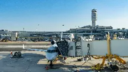 TSA Finds Loaded Floral Gun In Georgia Woman's Carry-On At Reagan National Airport