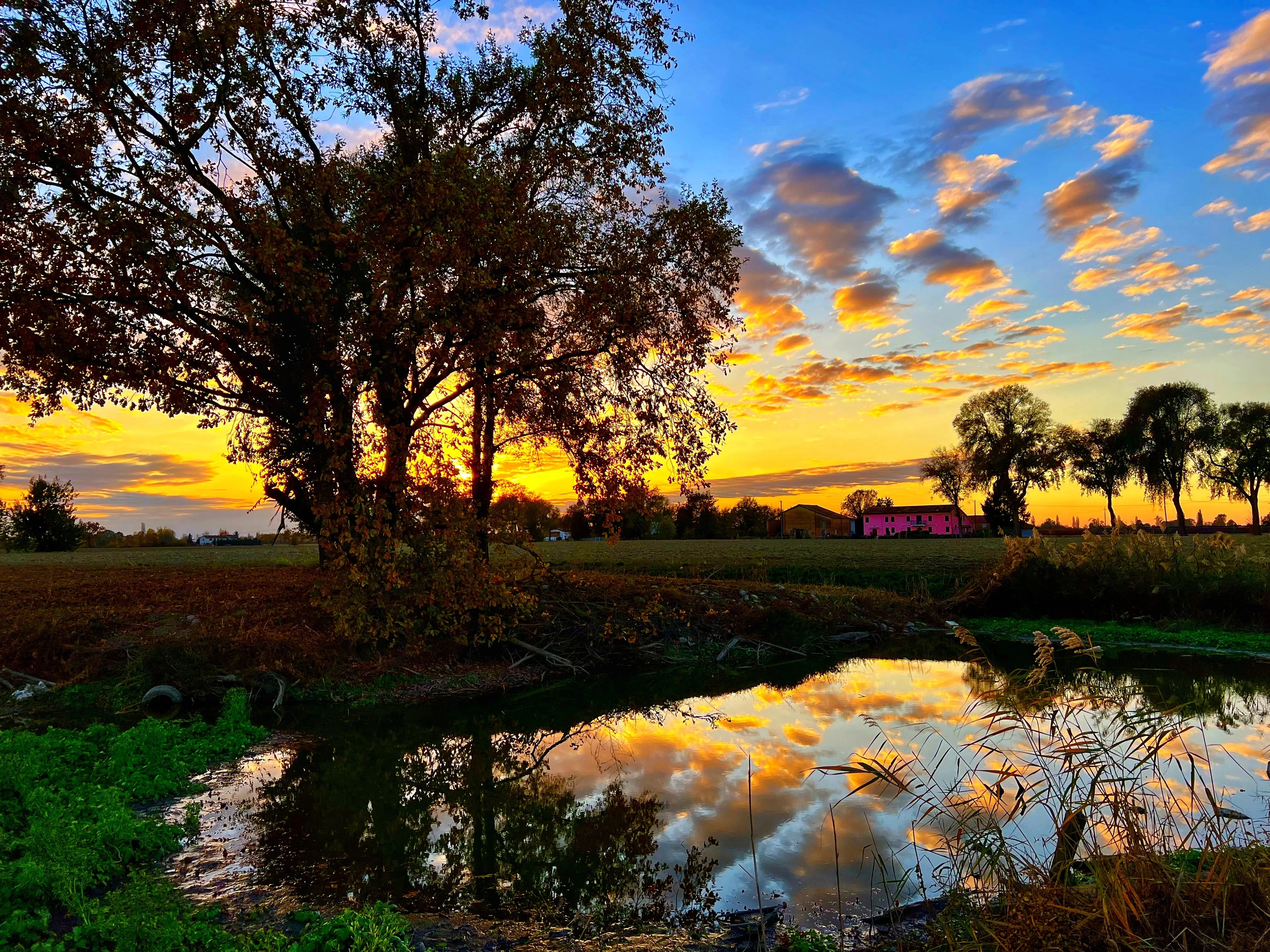 A vibrant sunset with golden and orange hues in the sky, dotted with small fluffy clouds. The sunset is partially obscured by the silhouette of a large tree in the foreground. A calm body of water in the foreground reflects the sunset and clouds above. In the distance, there's a pink house amid a rural landscape with other trees scattered around. The scene conveys a serene and picturesque evening in the countryside.