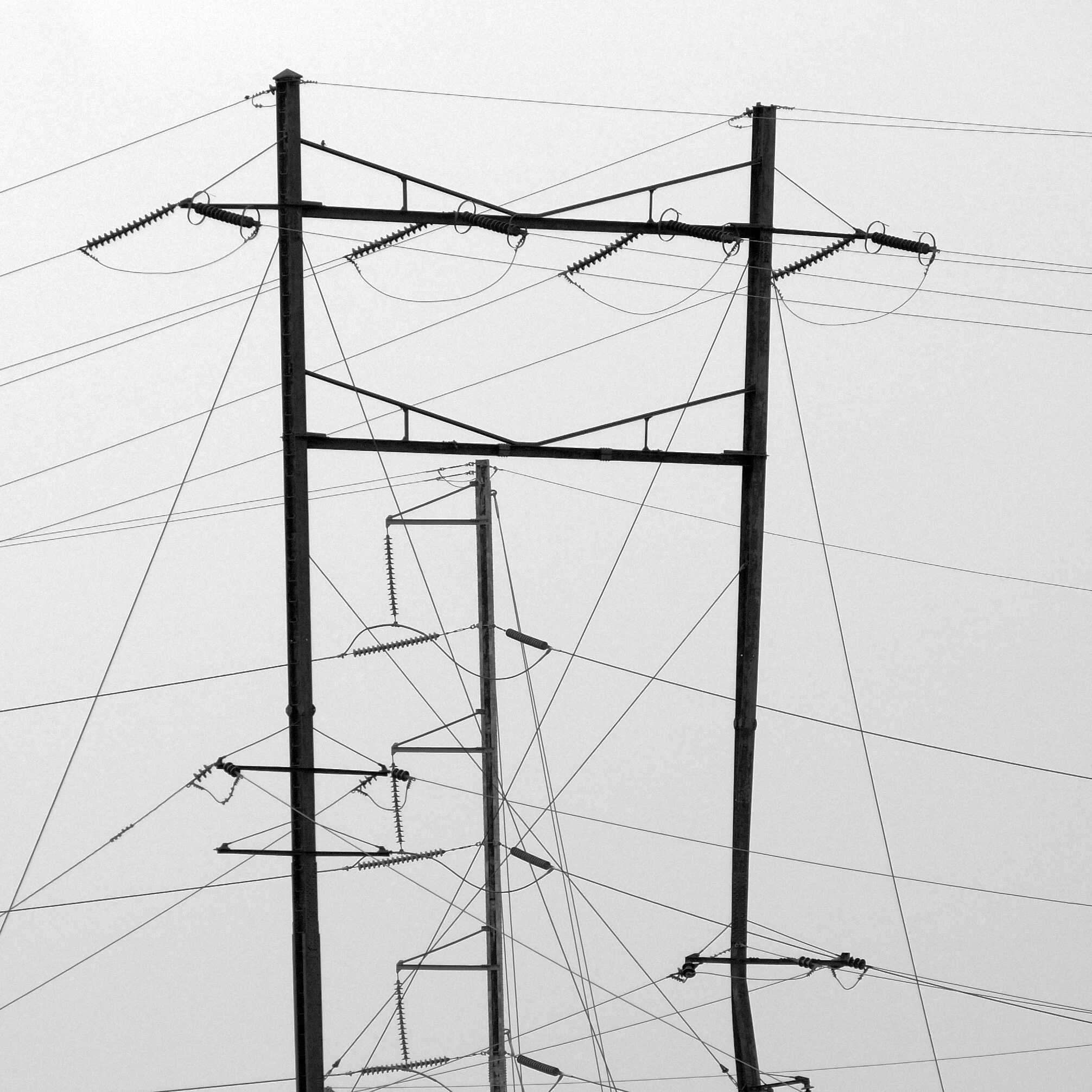 Abstract photo of railroad catenary pylons and wires against an indistinct grey sky.