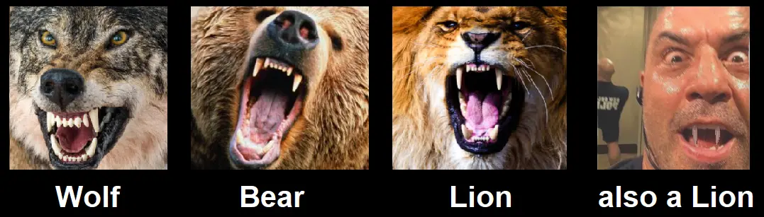 Picture of famous carnivore animals (with open mouths, in a way that you don't want to be near them if it happens):  Wolf, Bear, Lion, also a lion - picture of Joe Rogan looking menancing with weird fangs.