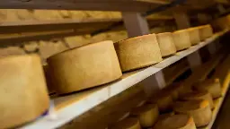 Italian man dies after being crushed by falling wheels of cheese