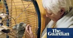 ‘You’re a slut!’: Judi Dench reveals parrot’s pet name for her