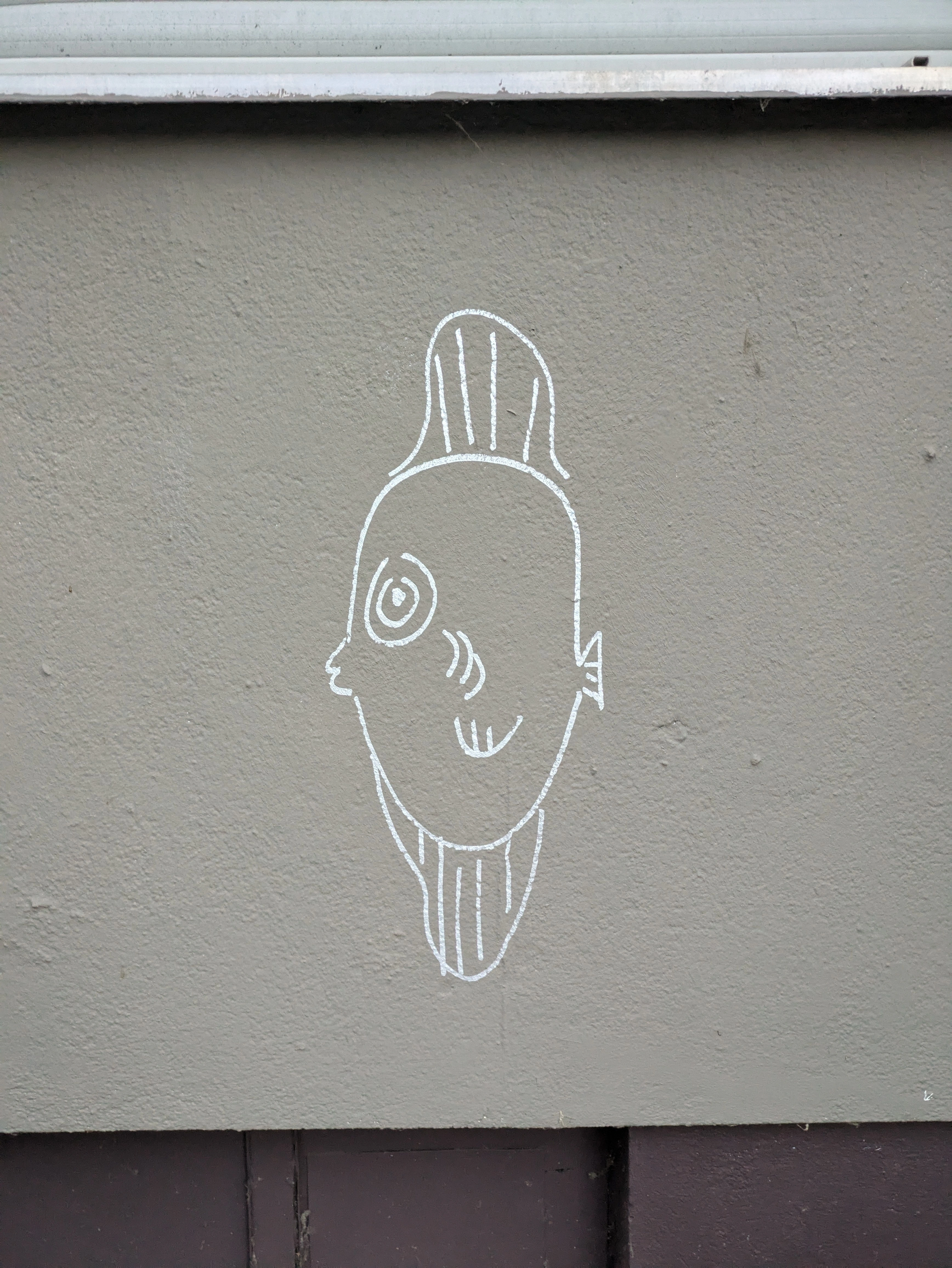 short but fat fish drawn with with lines on grey wall