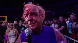 Ric Flair Responds To Video Of Piesanos Altercation, Says He Is Considering A Lawsuit | Fightful News