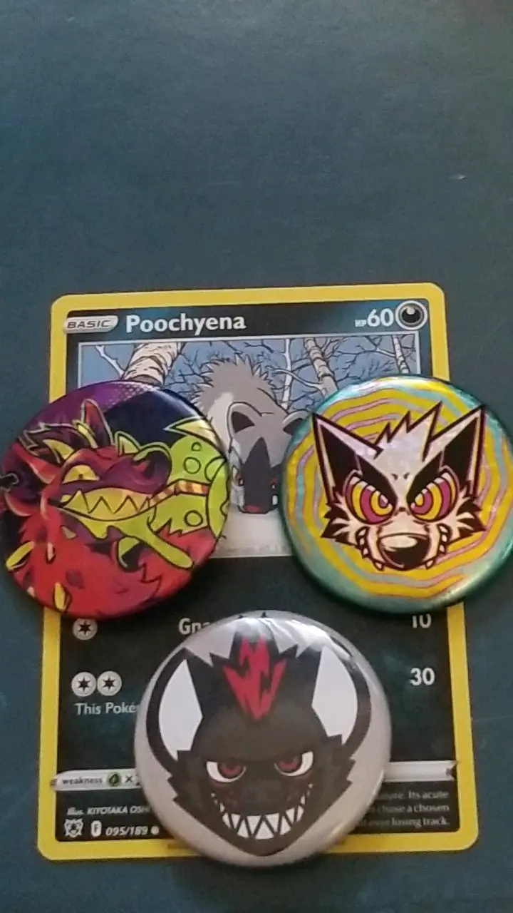 three pins on a pokemon card of poochyena on top of a blue surface