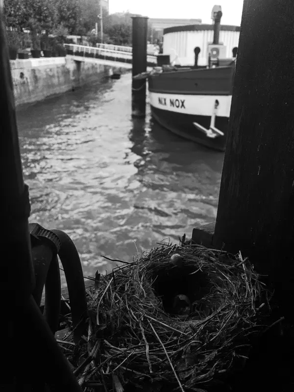 Black and white daylight photo.
A view through the window of an instable room, a devastated nest is mocking the puerile attempts at stability of the docked barges.